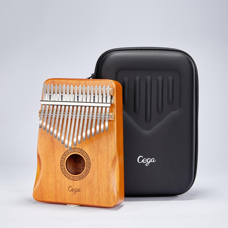 musical instruments online (4)