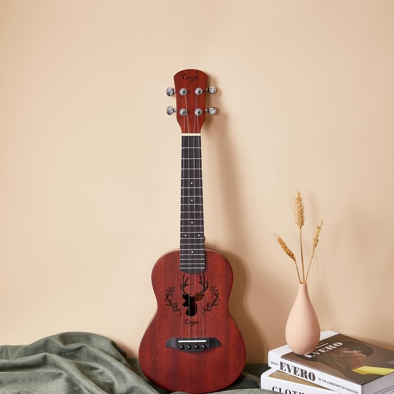 ukkulele (2)