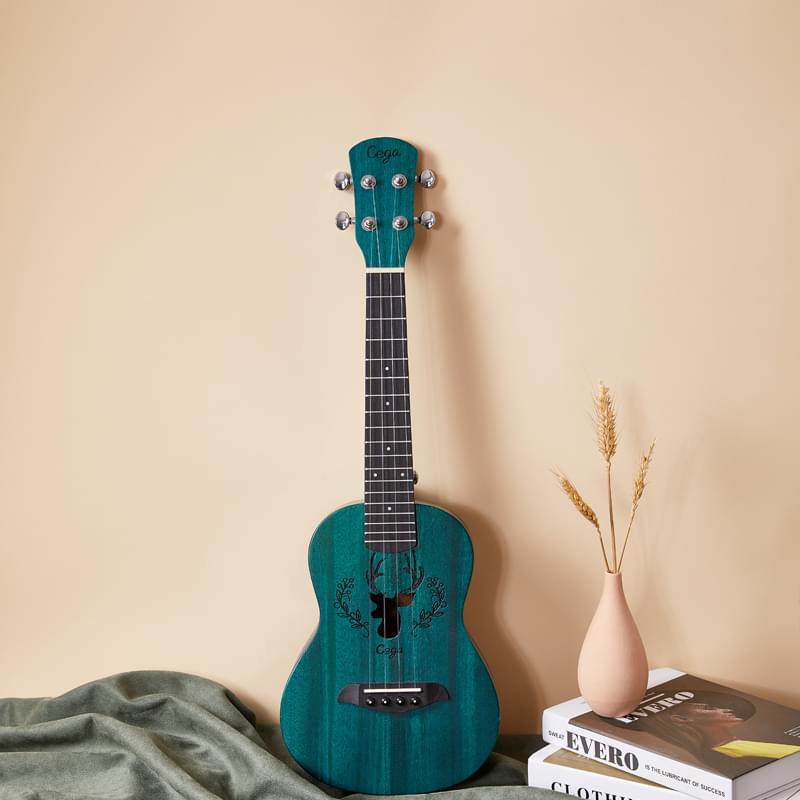 ukkulele (3)
