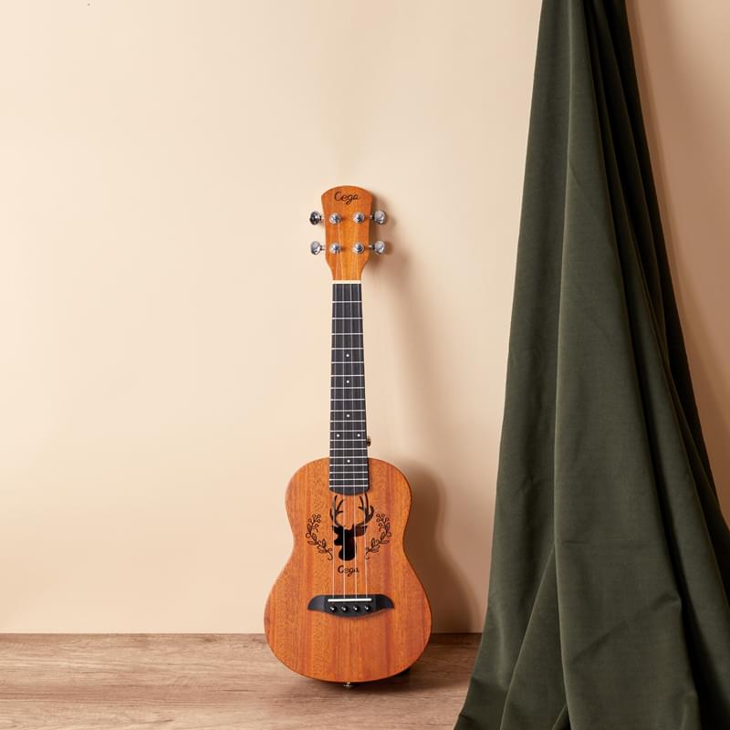ukkulele (6)